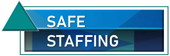 Safe Staffing - Care Capacity Demand Management