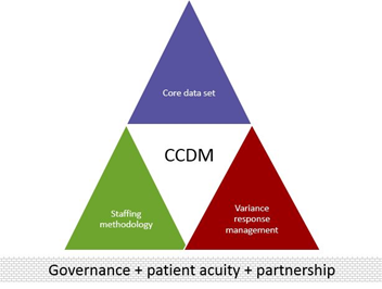 The CCDM model explained