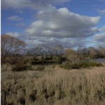 2025-COASTN-photo-comp-no.189