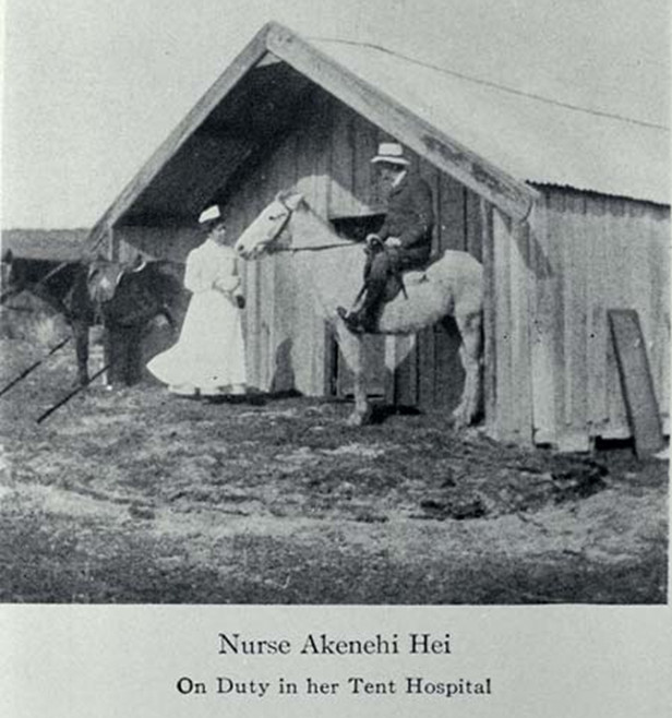 Nurse Akenehi Hei on duty in her tent hospital